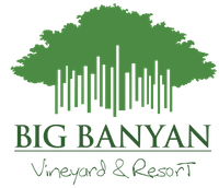 Big Banyan Vineyard & Resorts