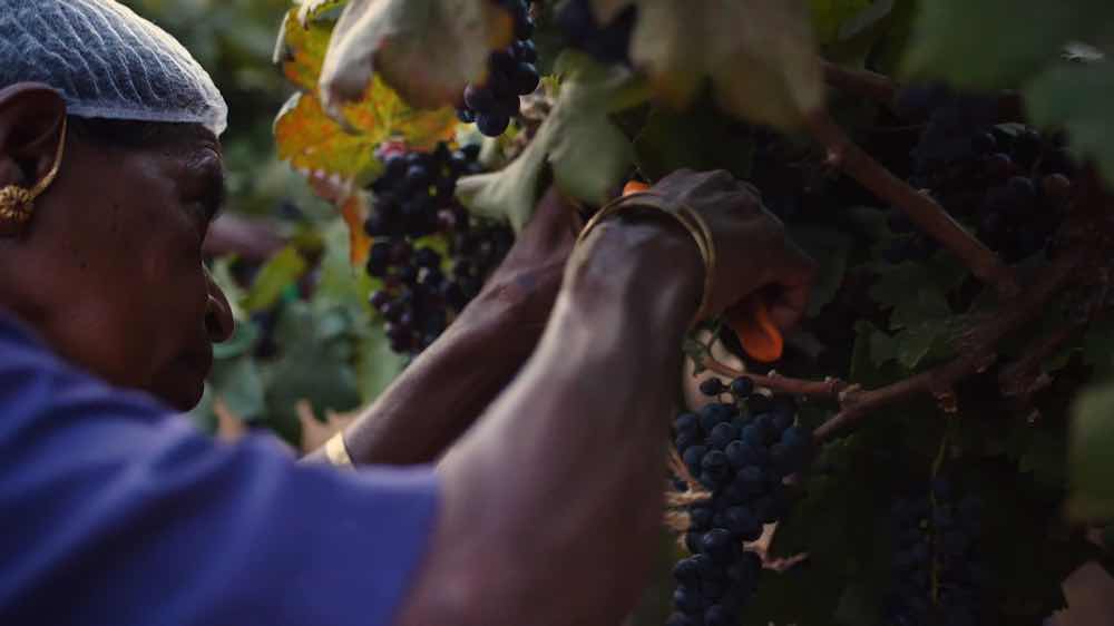 Beer, Wine & Coffee Trails