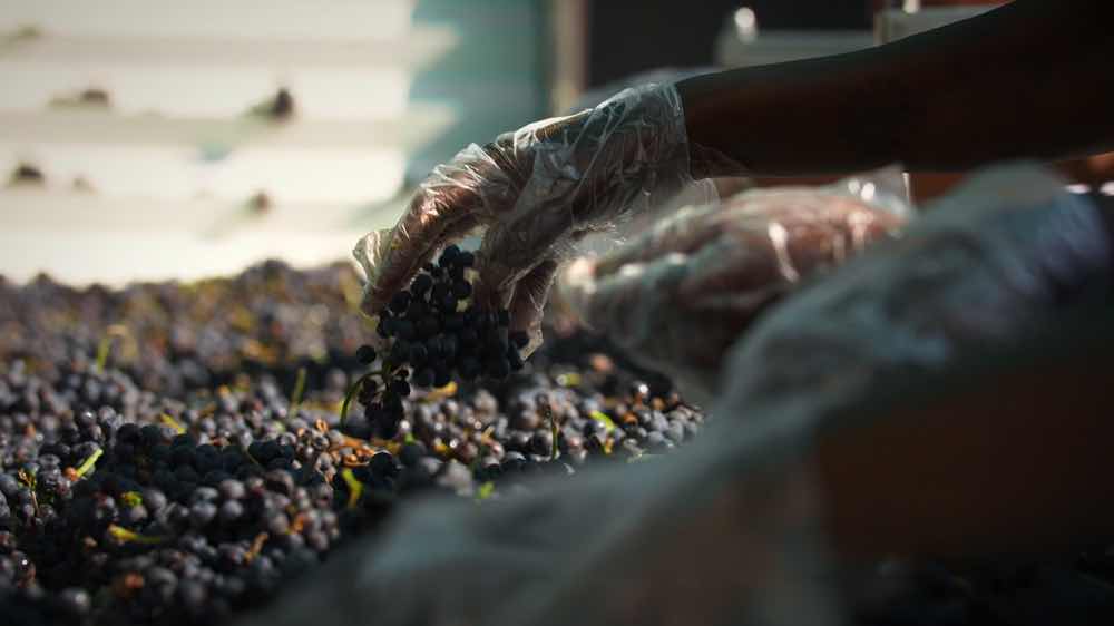 Beer, Wine & Coffee Trails