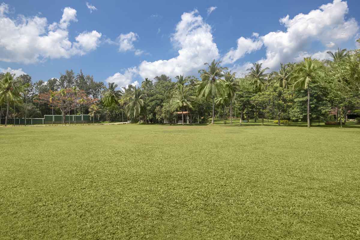 Big Banyan Weddings